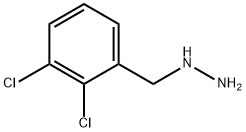 (2,3-DICHLORO-BENZYL)-HYDRAZINE