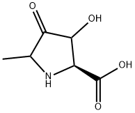 Proline, 3-hydroxy-5-methyl-4-oxo- (9CI)