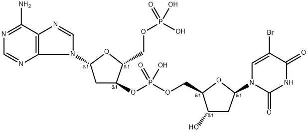 poly (dA-BrdU)