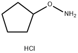 O-CYCLOPENTYLHYDROXYLAMINE HYDROCHLORIDE