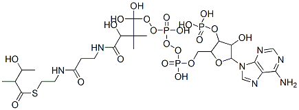 [5-(6-aminopurin-9-yl)-4-hydroxy-2-[[hydroxy-[hydroxy-[3-hydroxy-3-[2-[2-(3-hydroxy-2-methyl-butanoyl)sulfanylethylcarbamoyl]ethylcarbamoyl]-2,2-dimethyl-propoxy]-phosphoryl]oxy-phosphoryl]oxymethyl]oxolan-3-yl]oxyphosphonic acid