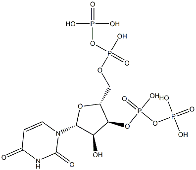 uridine 3'-diphosphate 5'-diphosphate
