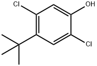 2,5-DICHLORO-4-TERT-BUTYLPHENOL