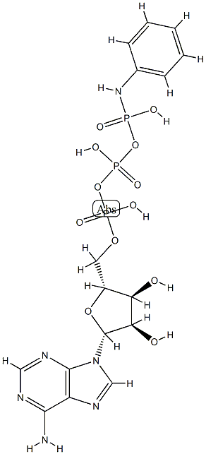 ATP gamma-anilide