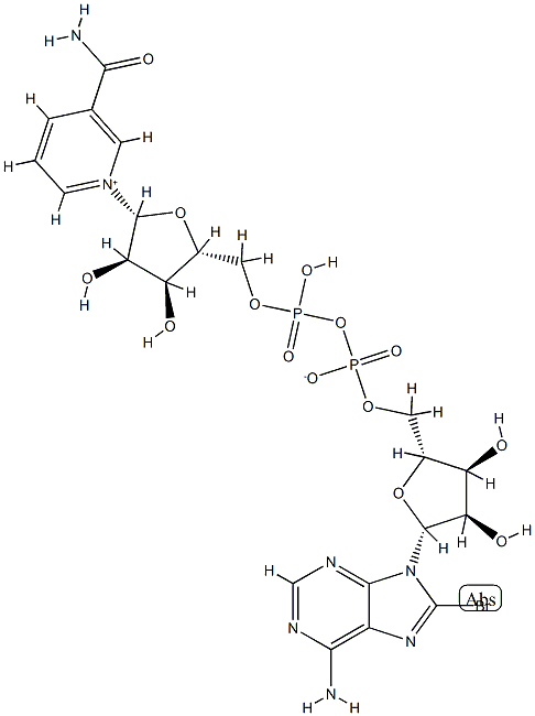 nicotinamide-8-bromoadenine dinucleotide