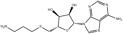 S-adenosyl-3-thiopropylamine