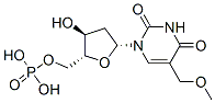 5-methoxymethyl-2'-deoxyuridine-5'-monophosphate