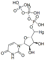 5'-mercuriuridine triphosphate