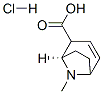 (1R)-8-甲基-8-氮杂双环[3.2.1]辛-3-烯-2-羧酸盐酸盐
