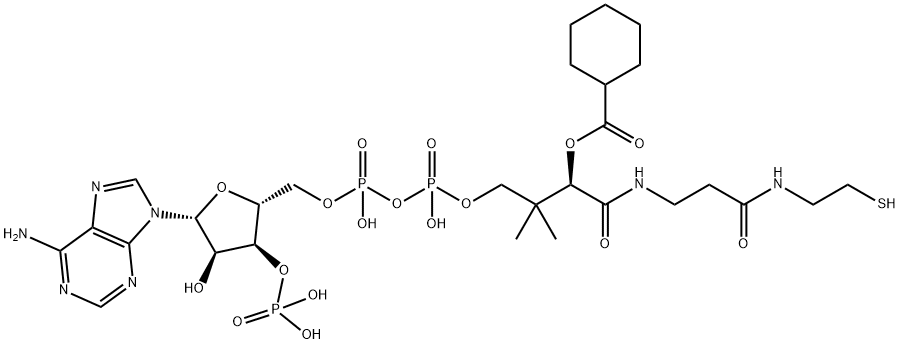 cyclohexanecarboxyl-coenzyme A