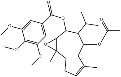 involucrin