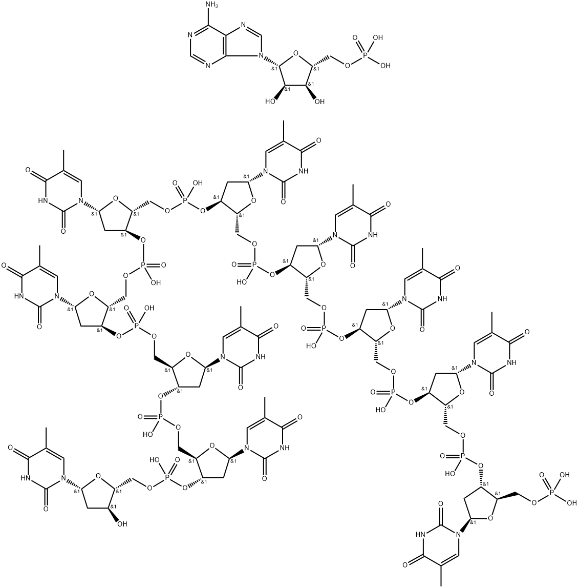 POLYADENYLIC ACID .DECATHYMIDYLIC ACID