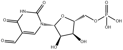 5-ForMyluridine-5'-Monophosphate