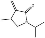 2-Pyrrolidinone,4-methyl-3-methylene-1-(1-methylethyl)-(9CI)