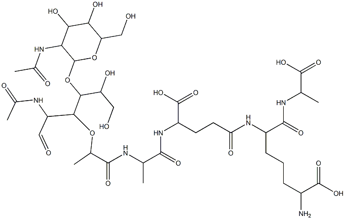 disaccharide tetrapeptide