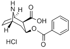 NORBENZOYLECGONINE HCL 标准品