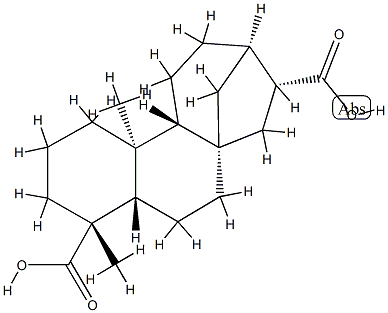 ENT-贝壳烯烷-17,19-二酸