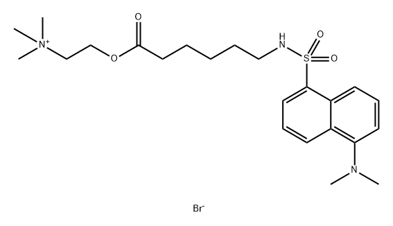 (1-(5-dimethylaminonaphthalene)sulfonamido)-n-hexanoic acid-beta-N-trimethylammonium ethyl ester