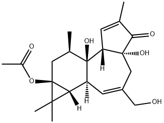 13-O-乙酰基-12-脱氧佛波醇