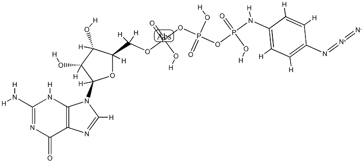 GTP gamma-4-azidoanilide