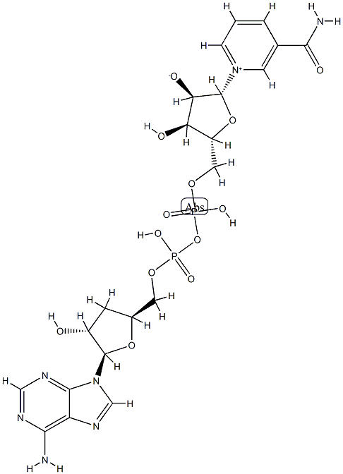 3'-deoxynicotinamide adenine dinucleotide