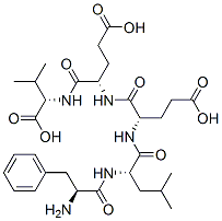 phenylalanyl-leucyl-glutamyl-glutamyl-valine
