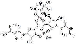 adenosine triphosphate uridine monophosphate
