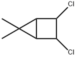 Bicyclo[2.1.0]pentane, 2,3-dichloro-5,5-dimethyl- (9CI)