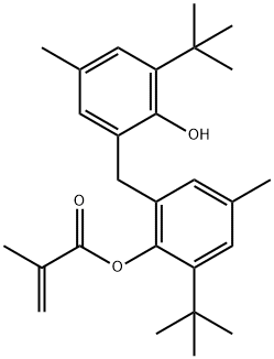 2-Methylacrylic acid 2-tert-butyl-6-[(3-tert-butyl-2-hydroxy-5-methylphenyl)methyl]-4-methylphenyl ester
