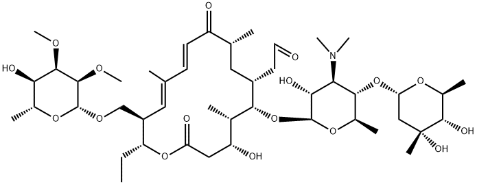 Tylonide