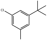 3-T-BUTYL-5-CHLOROTOLUENE