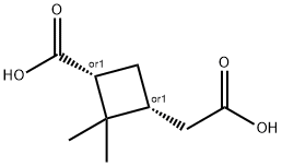 Cis-Pinic Acid