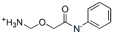 acetanilide, mono(aminomethoxy) derivative