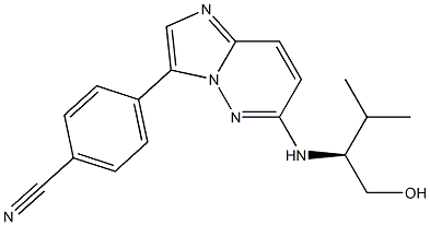 琼脂糖凝胶 CL-4B
