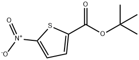 5-硝基噻吩-2-羧酸叔丁酯