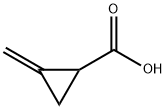 2-METHYLENECYCLOPROPANECARBOXYLIC ACID