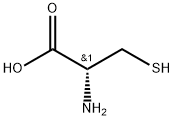 polycysteine