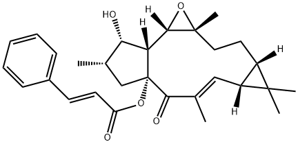 jolkinol B