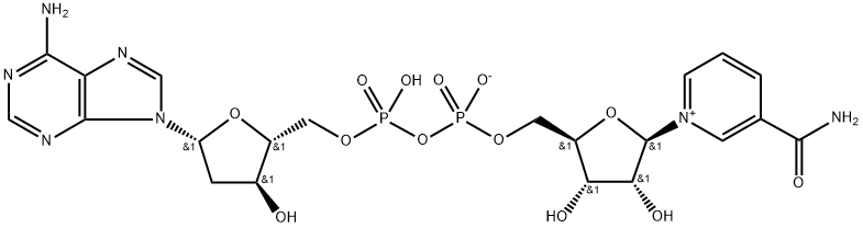 2'-deoxynicotinamide adenine dinucleotide
