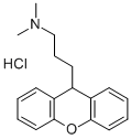 prooxen