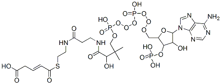 4-[2-[3-[[4-[[[5-(6-aminopurin-9-yl)-4-hydroxy-3-phosphonooxy-oxolan-2-yl]methoxy-hydroxy-phosphoryl]oxy-hydroxy-phosphoryl]oxy-2-hydroxy-3,3-dimethyl-butanoyl]amino]propanoylamino]ethylsulfanylcarbonyl]but-3-enoic acid