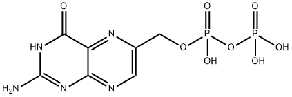 2-amino-4-hydroxy-6-hydroxymethylpteridine pyrophosphate