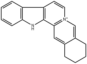 SEMPERVIRINE