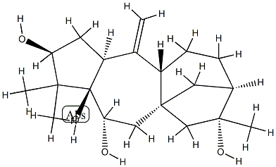 Grayanotox-10(20)-ene-3β,5,6β,16-tetrol