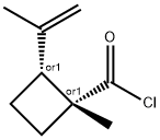 Cyclobutanecarbonyl chloride, 1-methyl-2-(1-methylethenyl)-, cis- (9CI)