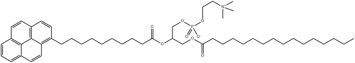 1-palmitoyl-2-pyrenedecanoylphosphatidylcholine