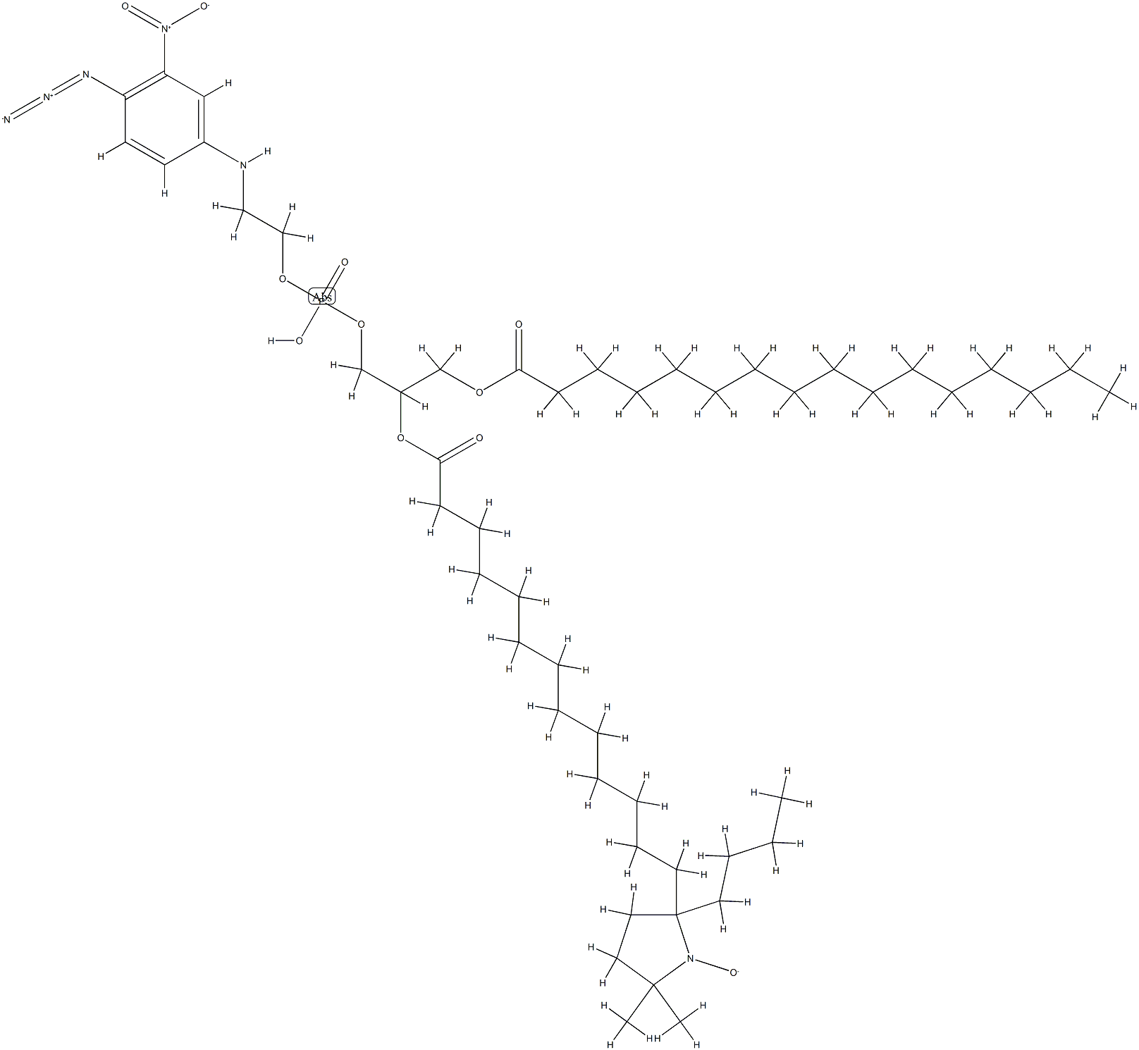 1-palmitoyl-2-(14-proxylstearoyl)glycero-3-phospho-N-(4-azido-3-nitrophenyl)ethanolamine