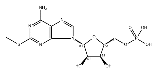 poly(2'-methylthioadenylic acid)