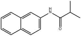 N-NAPHTHALEN-2-YL-ISOBUTYRAMIDE