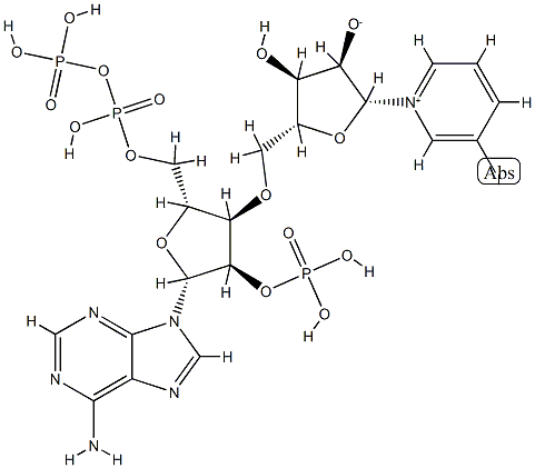 3-iodopyridine-adenine dinucleotide phosphate